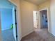 Hallway with carpeted floors connecting bedrooms, offering a glimpse into the home's layout at 10934 79Th E St, Parrish, FL 34219