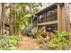 Exterior view of a tan building with a staircase surrounded by lush, colorful landscaping at 1711 Pelican Cove Rd # 443, Sarasota, FL 34231