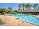 Inviting community pool with ample seating, lush landscaping, and a relaxing atmosphere at 2819 Conch Hollow Dr, Brandon, FL 33511