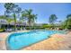 Large community pool surrounded by lounge chairs and lush greenery, perfect for relaxation at 2819 Conch Hollow Dr, Brandon, FL 33511