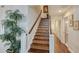 A home's elegant staircase featuring a decorative runner and a wood handrail leads to the upper level at 4326 Brackenwood Ct, Sarasota, FL 34232