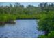 Scenic water view surrounded by lush mangrove vegetation at 4517 Pinfish Ln, Palmetto, FL 34221