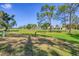 Expansive backyard with mature trees and view of the green space at 4947 Greencroft Rd # 175, Sarasota, FL 34235