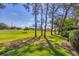 Lush green backyard with mature trees and a well-maintained lawn at 4947 Greencroft Rd # 175, Sarasota, FL 34235