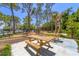 Community picnic area with three wooden picnic tables shaded by tall pine and palm trees at 5504 Beneva Woods Circle, Sarasota, FL 34233