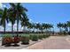 A park walkway lined with neatly trimmed bushes and palm trees on a beautiful day at 835 S Osprey Ave # 310, Sarasota, FL 34236