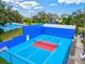 Close-up view of a pickleball court featuring vibrant colors and high-quality playing surface at 22324 Wexford Blvd, Venice, FL 34293