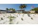 Scenic view of the beach entrance, highlighting the sandy path, dune grasses, and American flag at 2350 Novus St, Sarasota, FL 34237
