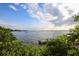 Picturesque waterfront view with boats, calm water, and lush greenery at 2350 Novus St, Sarasota, FL 34237