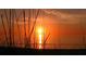Breathtaking sunset view over the ocean, framed by beach foliage at 3540 Gulf Of Mexico Drive # 202, Longboat Key, FL 34228