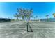 Well-maintained community tennis court with palm trees in the background on a bright day at 5055 Gulf Of Mexico Dr # 232, Longboat Key, FL 34228
