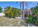 Lush backyard showcasing mature tropical plants and a screened-in pool area at 6415 39Th W Ave, Bradenton, FL 34209