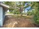 Large backyard featuring mature trees and a patio at 1823 8Th E Ave, Bradenton, FL 34208