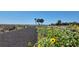Landscaped walking path with wildflowers and palm trees in a sunny, outdoor environment at 2005 47Th Street W Ct, Bradenton, FL 34209