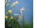 A great blue heron standing in tall grass at 410 Wellington, Venice, FL 34292