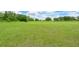 Picturesque backyard features lush green grass and mature trees, creating a serene and private outdoor space at 6316 Foxbrook Trl, Parrish, FL 34219