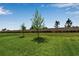 Grassy backyard featuring privacy wall and young trees on a sunny day at 8346 Abalone Loop, Parrish, FL 34219