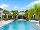 Resort-style swimming pool with palm trees, lounge chairs, and a covered seating area at 8346 Abalone Loop, Parrish, FL 34219
