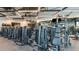 Well-equipped gym with modern exercise machines and ample space for a comprehensive workout experience at 8505 Snowfall St, Sarasota, FL 34241