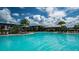 A large, bright blue community pool with palm trees, lounge chairs, and umbrellas at 8505 Snowfall St, Sarasota, FL 34241