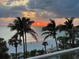 Scenic ocean view featuring palm trees silhouetted against a brilliant sunset over the water at 1800 Benjamin Franklin Dr # B310, Sarasota, FL 34236