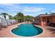 Beautiful backyard pool with brick paver patio, lounge chairs, and mature palm trees in tropical setting at 2609 Webber St, Sarasota, FL 34239
