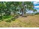 Expansive backyard with mature trees, offering plenty of space for outdoor activities at 314 Pembroke Ln # 189, Venice, FL 34293