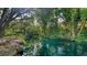 Scenic pond view surrounded by lush trees and greenery, creating a tranquil setting at 3623 Square West Ln # 5, Sarasota, FL 34238