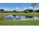 Scenic backyard pond reflecting blue sky and clouds, surrounded by lush greenery at 4610 13Th W St, Palmetto, FL 34221