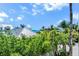 Beautiful views of the water and neighborhood from the rooftop of the home, surrounded by lush, tropical greenery at 103 Park Ave, Anna Maria, FL 34216