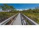 Scenic boardwalk winds through lush greenery, inviting peaceful strolls and connection with nature at 1612 Starling Dr # 101, Sarasota, FL 34231