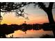 Scenic sunset view overlooking a tranquil lake, framed by silhouetted trees at 308 Timber Lake Dr, Bradenton, FL 34210