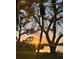 Beautiful sunset view from the property with a lovely combination of palm trees and a serene water view at 308 Timber Lake Dr, Bradenton, FL 34210
