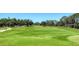 Lush green golf course featuring meticulously maintained grass, bordered by mature trees under a bright sky at 3572 Ferndell, Sarasota, FL 34235