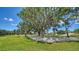 Scenic landscape of mature trees with Spanish moss and a neatly maintained green lawn under a blue sky at 3572 Ferndell, Sarasota, FL 34235