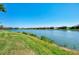 A captivating view of a tranquil pond, with lush greenery creating a serene backdrop for waterfront homes at 5437 Manchini St, Sarasota, FL 34238