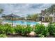 Beautiful resort-style pool area with seating, palm trees, and umbrellas for relaxation at 5437 Manchini St, Sarasota, FL 34238