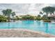 A view of the community pool, lined with palm trees and lounge chairs at 5437 Manchini St, Sarasota, FL 34238