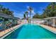 A refreshing blue swimming pool is surrounded by lounge seating, palm trees, and tropical mural on a sunny day at 6047 Arlene Way, Bradenton, FL 34207