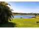 Expansive green backyard with a tranquil lake view bordered by mature trees and landscaping at 11510 Sweetgrass Dr, Bradenton, FL 34212