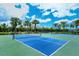 Outdoor pickleball courts providing a recreational space for active residents at 1907 Woodleaf Hammock Ct, Bradenton, FL 34211
