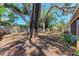 Large backyard with mature trees, a storage shed, and a view of the side of the house at 209 29Th Nw St, Bradenton, FL 34205