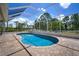 Screened-in private pool and patio with a view of the surrounding trees at 21616 67Th E Ave, Bradenton, FL 34211