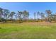 Large backyard with lush green grass and mature trees creating a private and serene outdoor space at 25305 83Rd E Ave, Myakka City, FL 34251