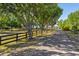 Long driveway lined with mature trees and a black fence leading to the property at 25305 83Rd E Ave, Myakka City, FL 34251