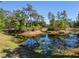 Picturesque pond with lily pads surrounded by lush greenery and mature trees at 25305 83Rd E Ave, Myakka City, FL 34251