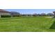 Large backyard with beautiful green grass and a lake at 3803 Savanna Palms Ct, Bradenton, FL 34211