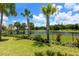 Scenic backyard view featuring a pond, verdant lawn, and mature palm trees along the property line at 3803 Savanna Palms Ct, Bradenton, FL 34211
