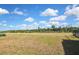 Expansive backyard featuring a lush green lawn and views of natural greenery, perfect for outdoor activities and relaxation at 3813 Lively Coral Pl, Bradenton, FL 34208