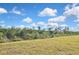 The backyard is lush with greenery, offering a serene escape and potential for a beautiful garden or outdoor living space at 3813 Lively Coral Pl, Bradenton, FL 34208